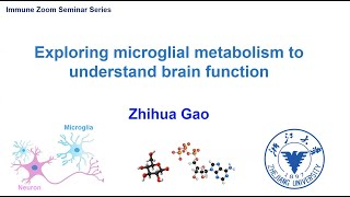 Explore microglia metabolism to understand brain function [upl. by Clea]