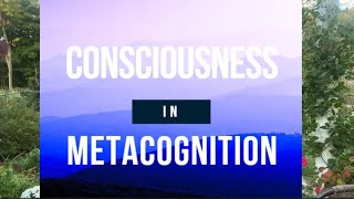 Consciousness in Metacognition [upl. by Esela688]