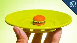 To Lose Weight Opt for a Small Plate [upl. by Cesya]