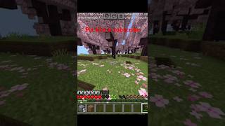 minecraft funny  minecraft shorts  minecraft viral comedy minecraftfacts minecraftchallen [upl. by Nahgem825]