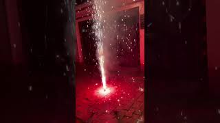 Special Diwali deepawali ytshortsvideo lightingcelebration 2k24crackers [upl. by Chloe882]