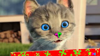 LITTLE KITTEN ADVENTURE FOR KIDS AND TODDLERS  THE GREAT JOURNEY OF A LITTLE KITTY [upl. by Sinclare]