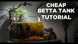 BETTA TANK tutorial  Cheap and easy aquarium for BEGINNERS [upl. by Ileyan263]