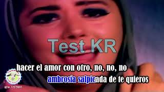 Hacer el amor con otro  Alejandra Guzman Test KARAOKE [upl. by Ryter]