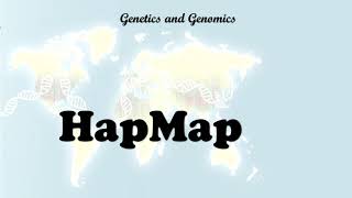 HapMap project [upl. by Onivla]