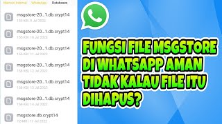 Fungsi Msgstore Di Whatsapp Aman Tidak Kalau Msgstoredbcrypt12 Dihapus [upl. by Nyletac]