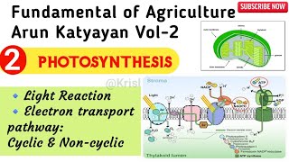 Photosynthesis  Light Reaction Electron Transport pathway Cyclic amp Non Cyclic Arun Katyayan Vol2 [upl. by Petite983]