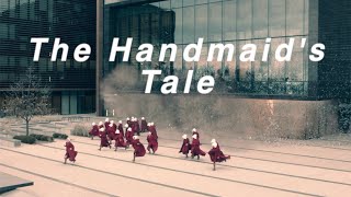 The Handmaids Tale  “bad girls” [upl. by Sucramrej686]