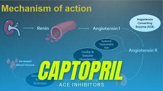 All you need to know about Captopril  ACE Inhibitors [upl. by Nerrad]