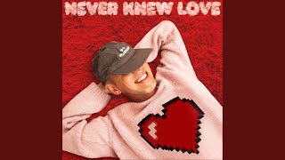 Never Knew Love feat Enisa [upl. by Rinaldo]