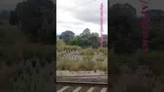 Cranbourne To Southern Cross 161123 victoria shorts shortvideo train travel views [upl. by Adnam]