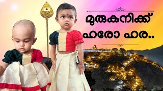 പഴനിമല ആണ്ടവന് മുടി സമർപ്പിച്ച് ധ്വനികൃഷ്ണ  MRIDVA [upl. by Lemaj]