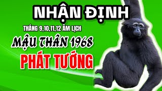 PHÁT TƯỚNG ĐỔI ĐỜI Tử vi tháng 9 10 11 12 âm NHẬN ĐỊNH Mậu Thân 1968 có rất nhiều tiền [upl. by Floro551]