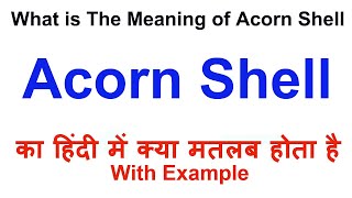 Acorn shell Meaning in Hindi  Acorn shell Definition  Acorn shell Ka Matlab Kya Hota Hai [upl. by Hearsh]