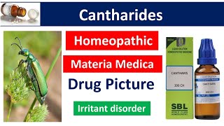 Cantharis Homeopathic medicine  Drug Picture  Materia Medica bhms materiamedica cantharis [upl. by Gotthard995]