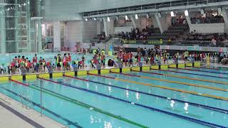 20242025 HK Div 3 Inter school Grade C Girl 4x50M FreeStyle [upl. by Alleyn]