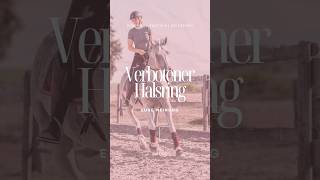 🤯🤔 pferd reiten halsring pferdevideo cotico shorts YouTubeCreatorCommunity [upl. by Haerdna]