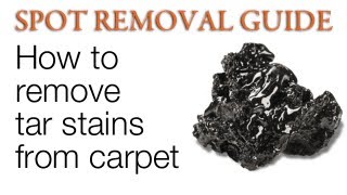 How to Remove Tar from Carpet  Spot Removal Guide [upl. by Cormier]