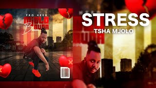 Pro Heed ft Rofhiwa Nethwadzi  Stress Tsha Mjolo Official Audio [upl. by Lenni427]