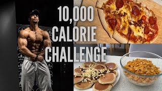 ATTEMPTING THE 10000 CALORIE CHALLENGE [upl. by Ecirtael]