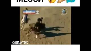 Месси Көкпар Кок бору Buzkashi Kokpar Кокпар Kokboru Horse [upl. by Nomead]