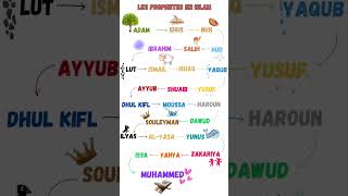 Les prophètes de l’islam islam prophètes [upl. by Eilyw]