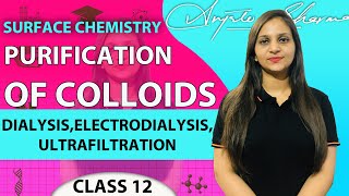 PURIFICATION OF COLLOIDS  DIALYSISELECTRODIALYSISULTRAFILTRATIONSURFACE CHEMISTRY  CLASS 12 [upl. by Zared]