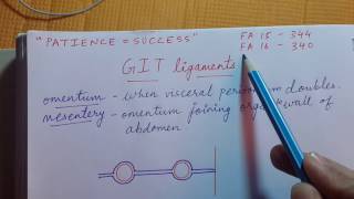 GIT ligaments  Easy explanation for USMLE Step 1 [upl. by Eimar587]