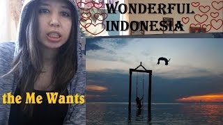 Wonderful Indonesia  A Visual Journey  REACTION [upl. by Mackoff528]