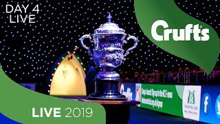 Day 4 LIVE  Crufts 2019 [upl. by Ycrad]