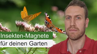 Meine Top 5 InsektenPflanzen für den Halbschatten [upl. by Rennug]