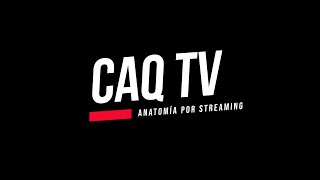 CAQ TV 2023 Generalidades de anatomía  conceptos prácticos [upl. by Duster]