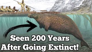 The Sixth Extinction full documentary [upl. by Giulia]