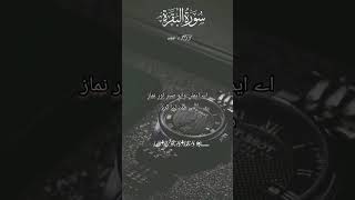 shortvideo qurantranslation urdu quotes [upl. by Boudreaux370]