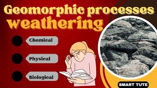 Weathering  Chemical Physical and Biological Weathering  Class 11 Chapter 6 Geomorphic Processes [upl. by Ahsinal]