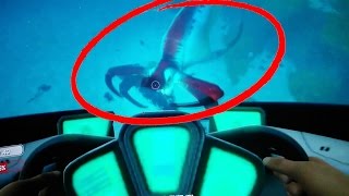 QUELLE EST CETTE CRÉATURE  Subnautica 3 [upl. by Aikimat]