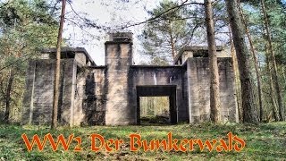 Teil 3 Im Bunkerwald der Wehrmacht  Geheimnisvolle Orte [upl. by Eb]