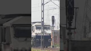 Tughlakabad shed Diesel loco Shalimar Malani Express Jamutavi Barmer Express Indian Railways short [upl. by Aiuqram402]