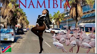 Walvis Bay Namibia’s Uniquest City flamingoes sandwichharbor Africancities 🇳🇦 [upl. by Darryn799]