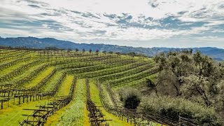 Exclusive Winery and Vineyard  Anderson Valley Estate Mendocino County California [upl. by Sethrida]