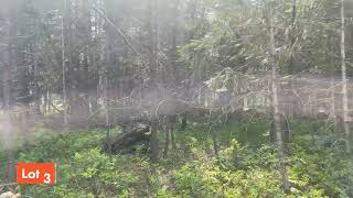 3 Land Lots Available in Moyie Springs [upl. by Demmahom353]