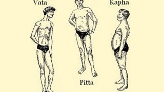 The Ayurvedic Body Types and their Characteristics Vata Pitta Kapha [upl. by Shea]