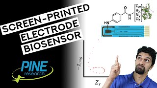 Electrochemical Impedance Spectroscopy of a ScreenPrinted Electrode Biosensor Inductive Loop [upl. by Foulk807]