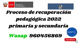 REGISTRO PROMOCION GUIADA 2022PRIMARIA Y SECUNDARIA [upl. by Idaline]