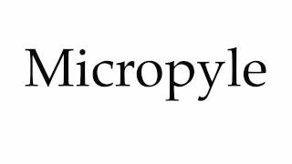 How to Pronounce Micropyle [upl. by Thgiwed]