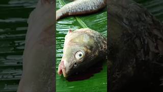 Golden cutting karne ka tarika  Golden cuttinggolden fish cutting videogolden fish cutting video [upl. by Nivahb760]