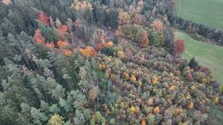 Herbstwald in Aschach mit der Drohne wie ein Korallenriff in bunt [upl. by Schroder443]