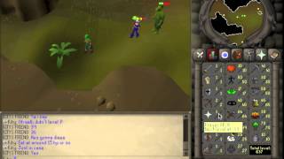 07 RS Kity level 3 skiller gets Karamja Gloves [upl. by Atiseret]