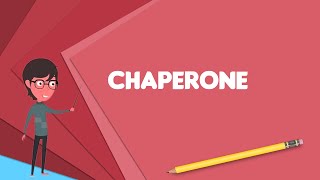 What is Chaperone protein Explain Chaperone protein Define Chaperone protein [upl. by Eneluj770]