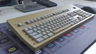 Apple Extended Keyboard I w ALPS SKCM Salmon  Typing Test [upl. by Lebam585]